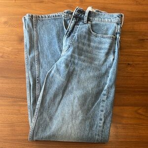 Everlane Way High Jean 25 LONG